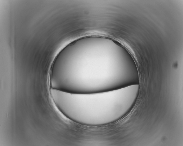 X0000091301391200708101038