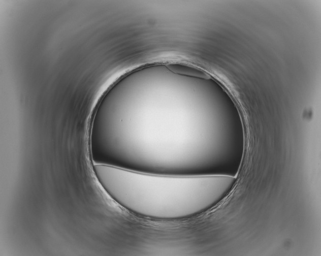 X0000091301392200708101038
