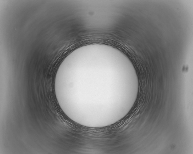 X0000091301394200708101038