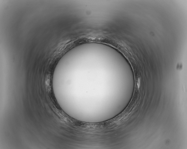 X0000091301396200708101038