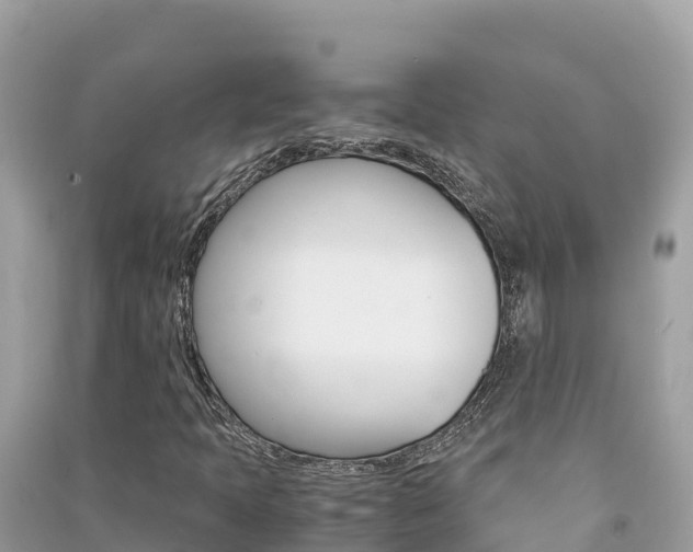 X0000091301397200708101038
