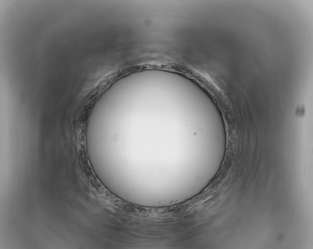 X0000091301399200708101038