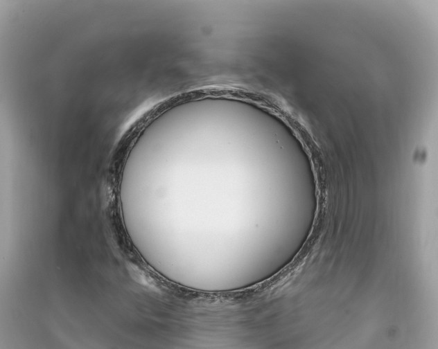 X0000091301400200708101038