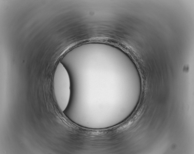 X0000091301401200708101038