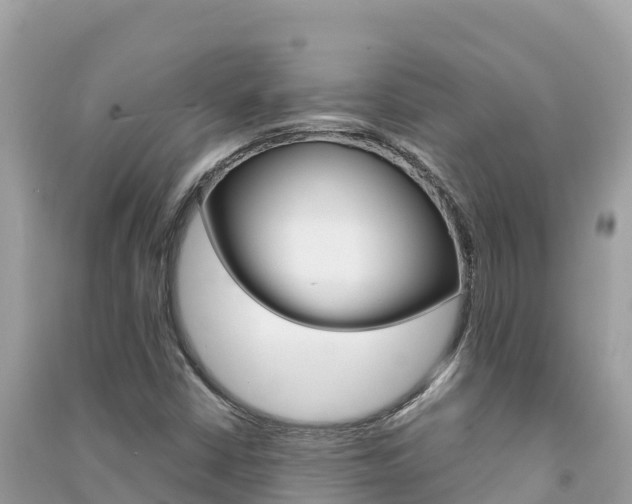 X0000091301402200708101038