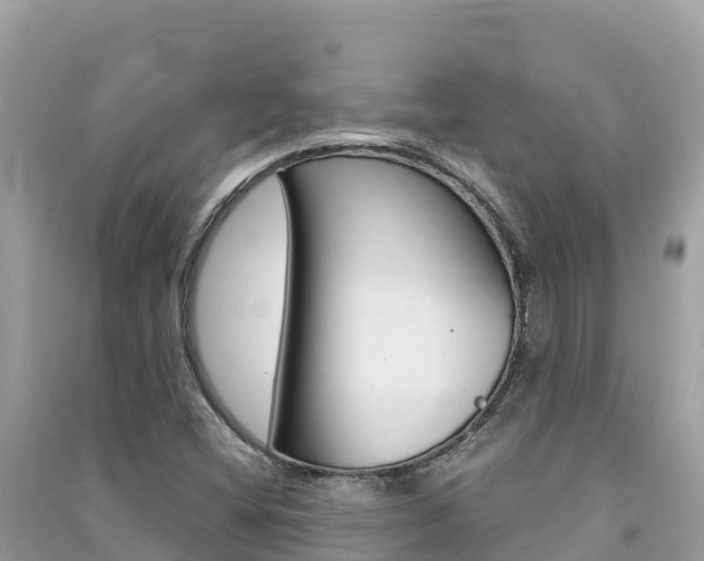 X0000091301404200708101038