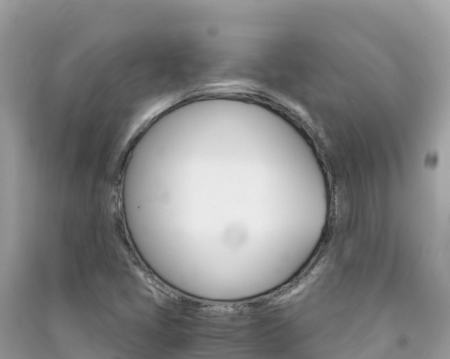 X0000091301405200708101038