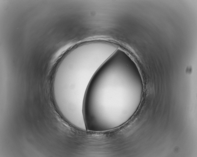 X0000091301406200708101038