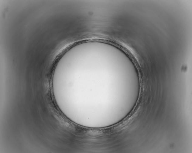 X0000091301407200708101038