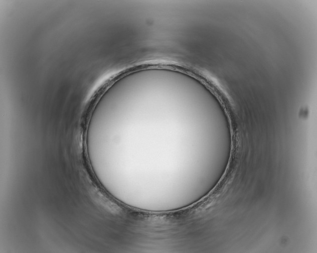 X0000091301408200708101038