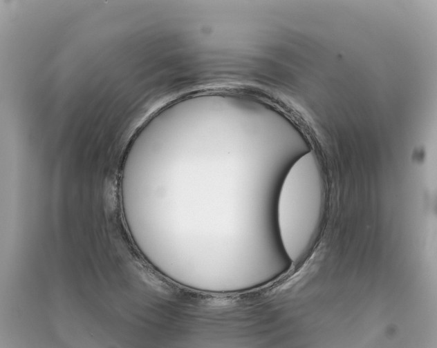 X0000091301409200708101038