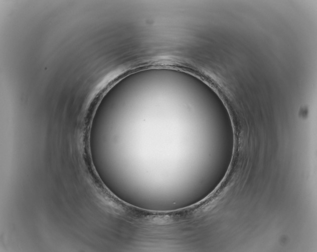 X0000091301410200708101038