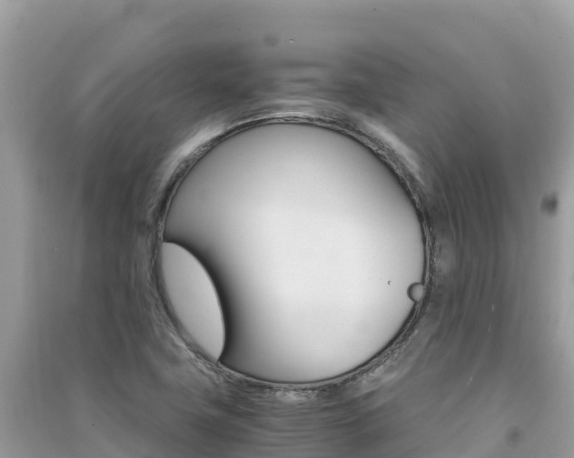 X0000091301411200708101038