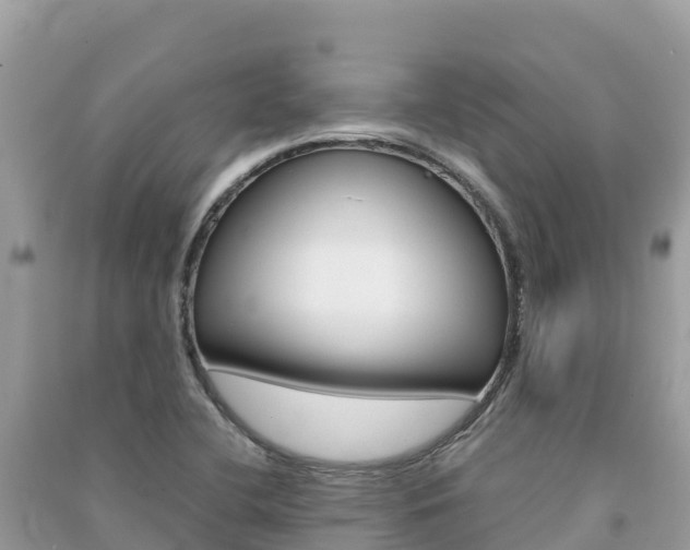 X0000091301412200708101038