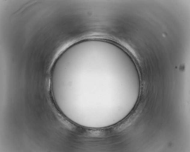 X0000091301413200708101038