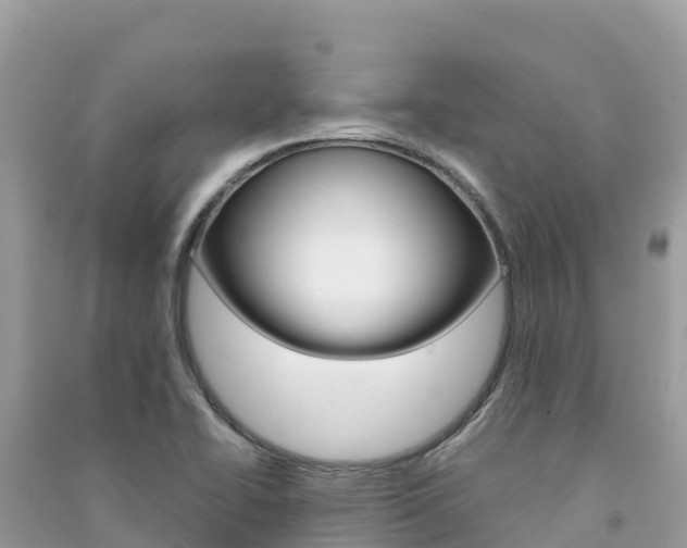 X0000091301414200708101038