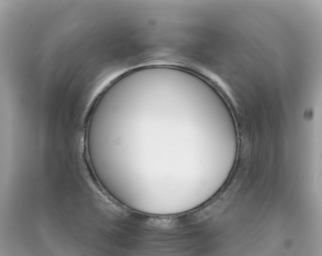 X0000091301415200708101038