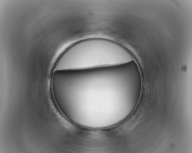 X0000091301416200708101038