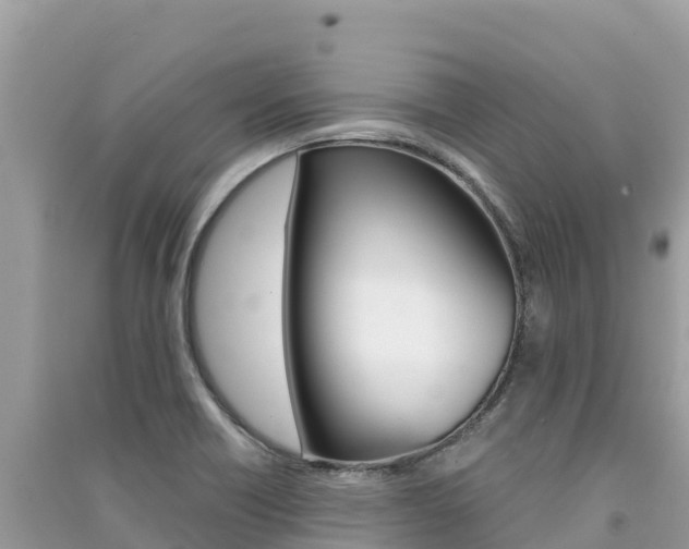 X0000091301418200708101038