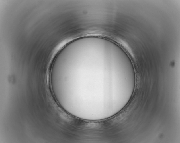 X0000091301419200708101038