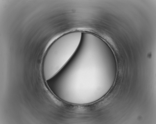 X0000091301420200708101038