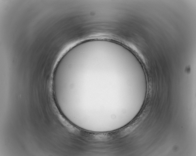 X0000091301421200708101038