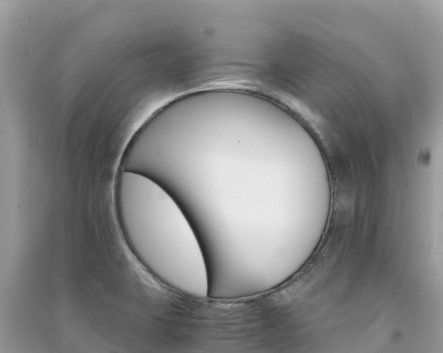 X0000091301423200708101038