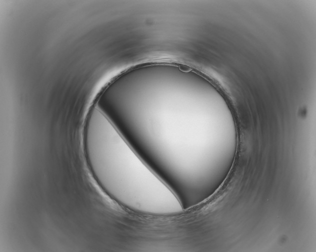 X0000091301424200708101038