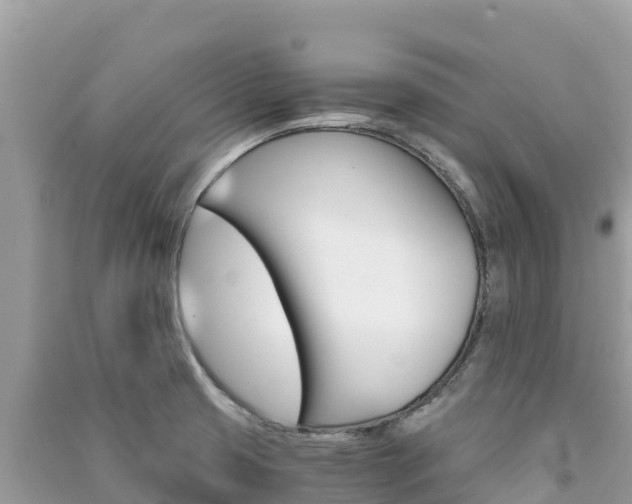 X0000091301425200708101038