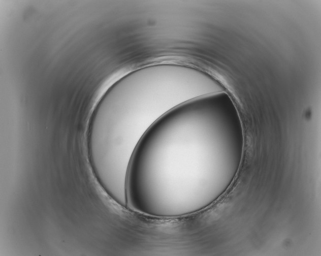 X0000091301426200708101038