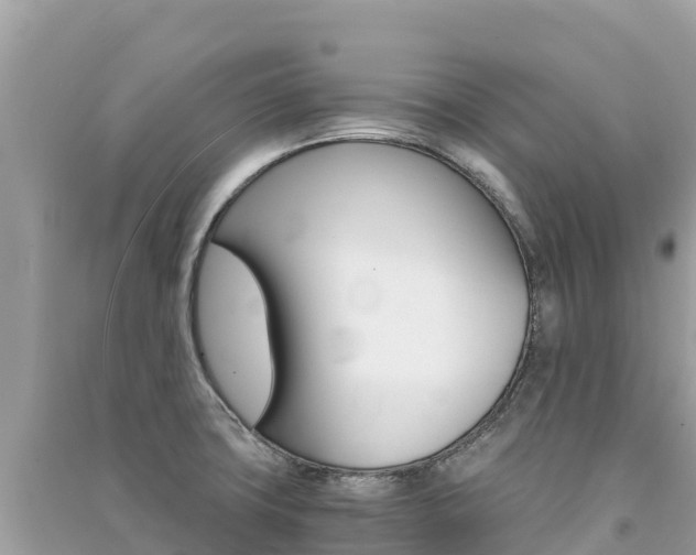X0000091301427200708101038