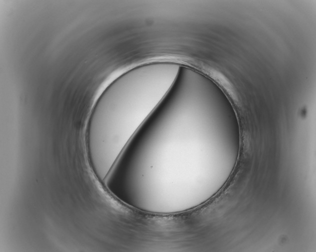 X0000091301428200708101038