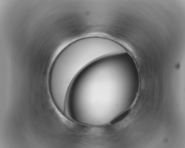 X0000091301430200708101038