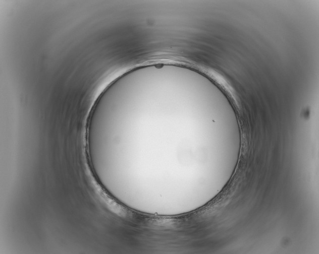 X0000091301431200708101038