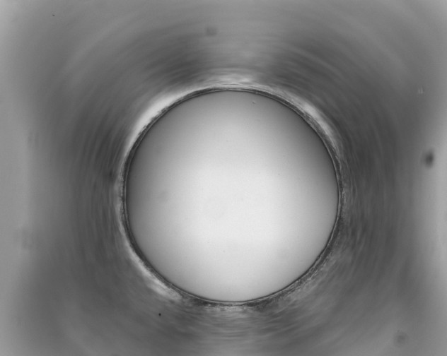 X0000091301432200708101038