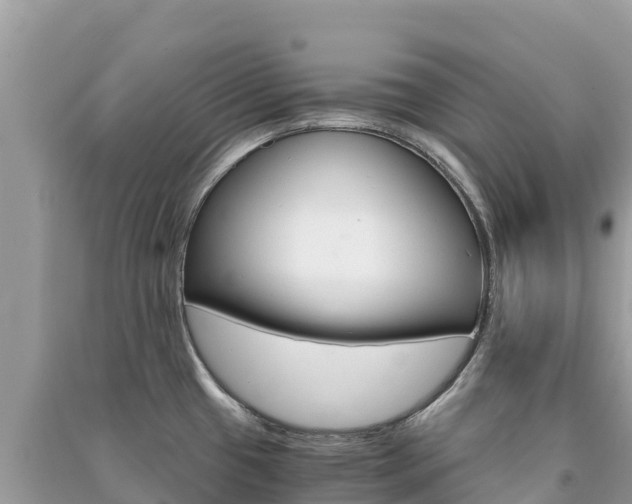 X0000091301433200708101038
