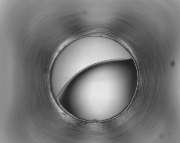 X0000091301434200708101038