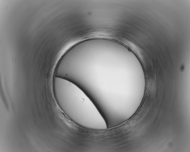 X0000091301435200708101038
