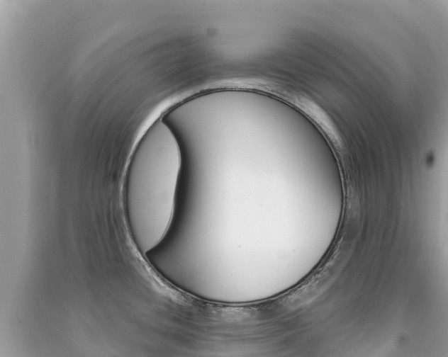 X0000091301436200708101038