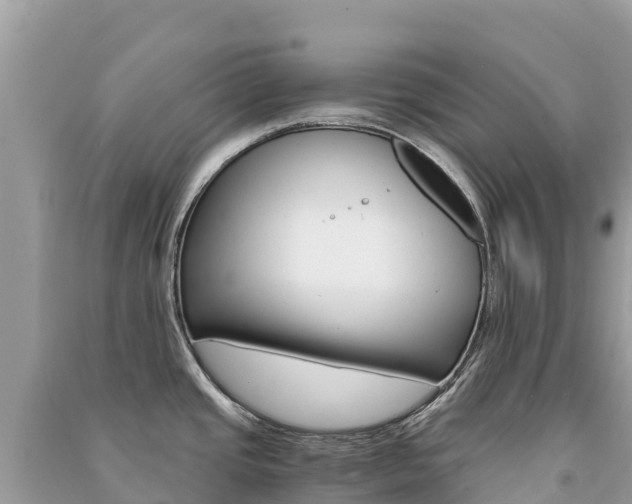 X0000091301437200708101038
