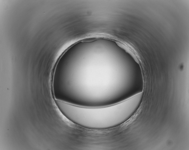 X0000091301438200708101038
