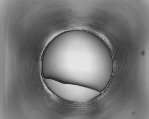 X0000091301439200708101038