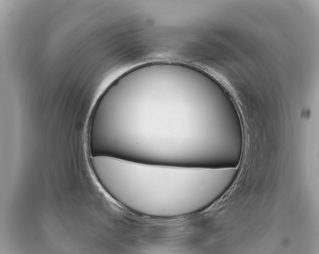 X0000091301440200708101038