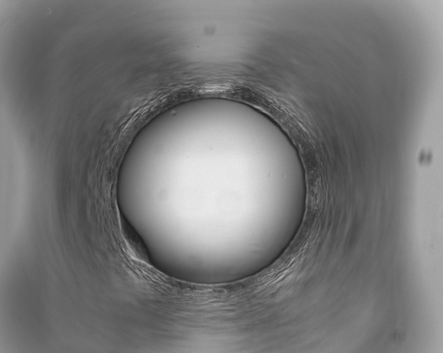 X0000091301441200708101037