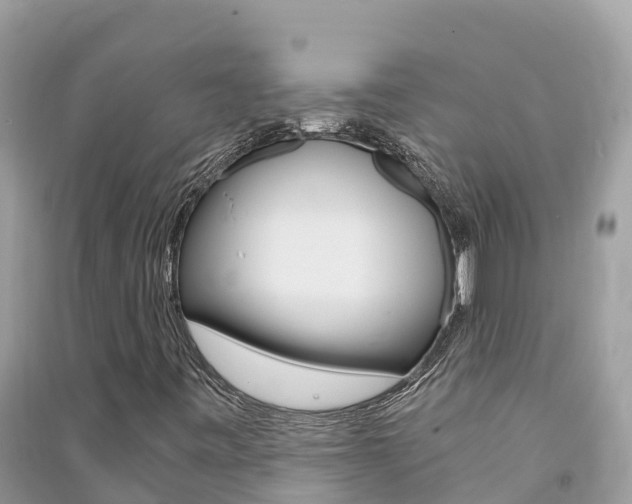 X0000091301443200708101037