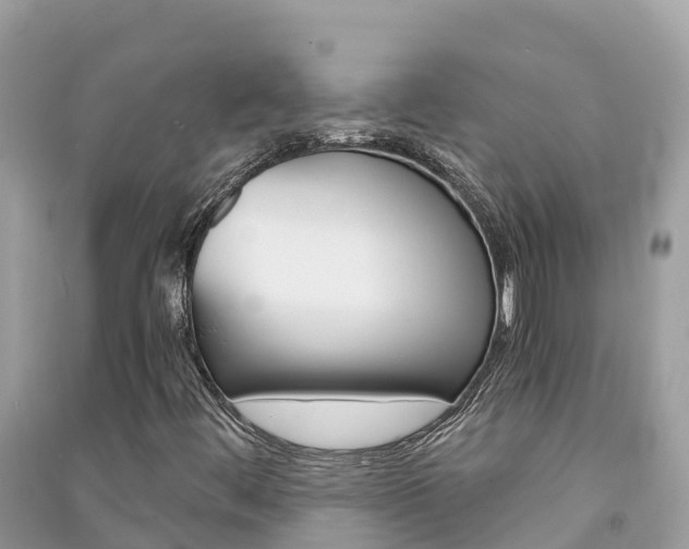 X0000091301444200708101037