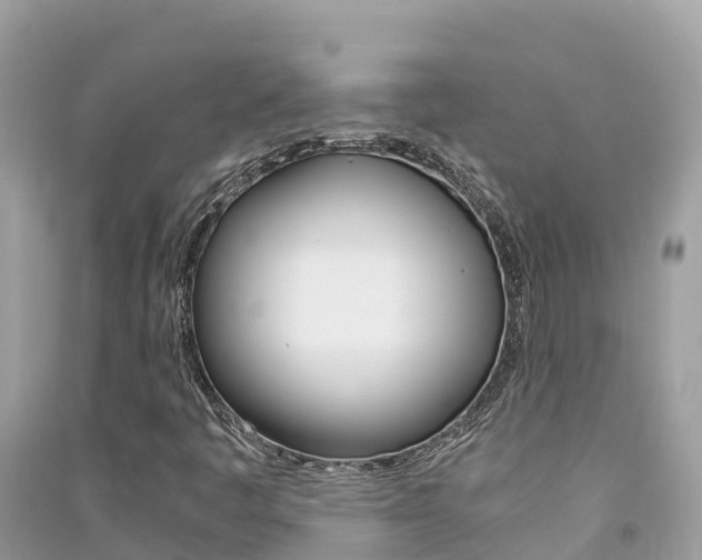 X0000091301445200708101037