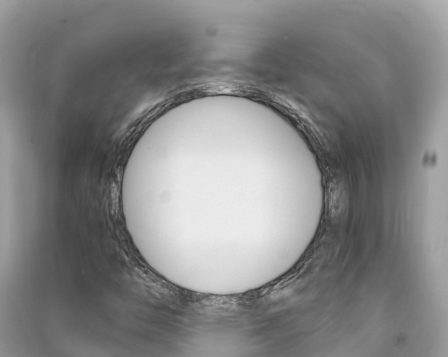 X0000091301446200708101037