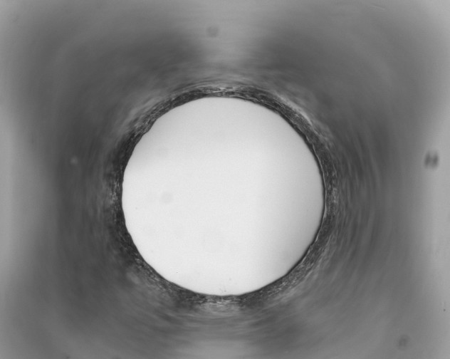 X0000091301447200708101037