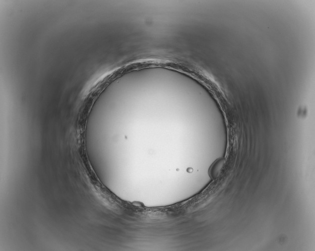 X0000091301448200708101037